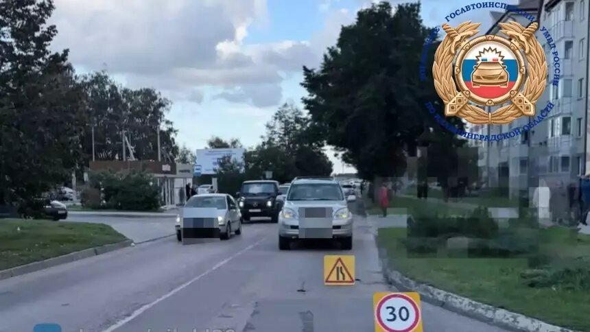 В Янтарном Lexus сбил 8-летнего ребёнка   - Новости Калининграда | Фото: Госавтоинспекция Калининградской области