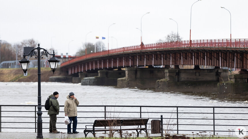 Калининградца, обвиняемого в призывах к терроризму, задержали при попытке уйти в Литву   - Новости Калининграда | Фото: Александр Подгорчук / Архив «Клопс»