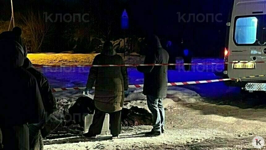 Не меньше восьми ударов по голове: в Калининграде завершили расследование гибели 37-летнего мужчины на Машиностроительной   - Новости Калининграда | Фото: архив «Клопс»