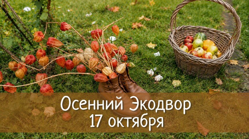 «Экодвор» пройдет в ландшафтном парке | Фото: группа фестиваля «Экодвор» в «ВКонтакте»