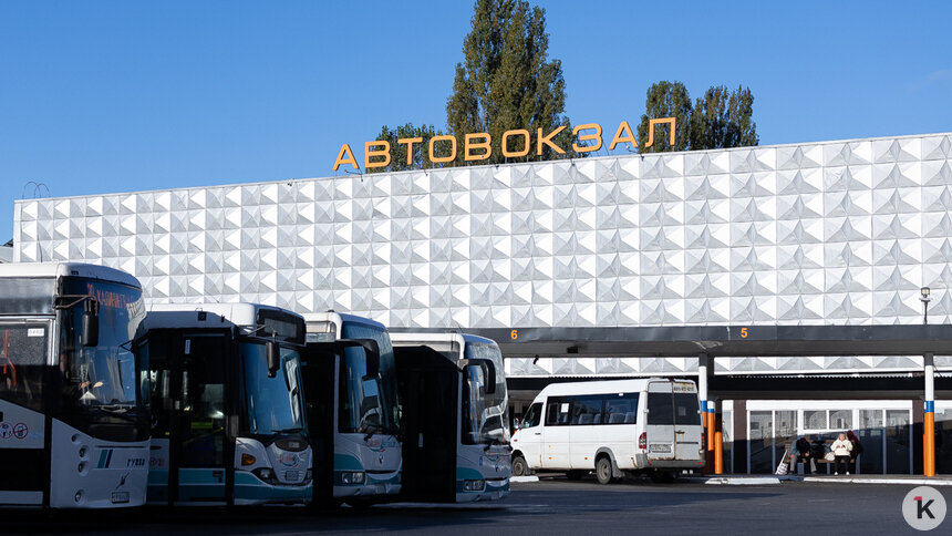 Ещё один польский перевозчик запустит автобусы из Калининграда в Варшаву - Новости Калининграда | Фото: Александр Подгорчук / Архив «Клопс»
