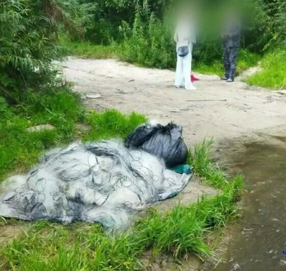 Жителя Полесска заподозрили в незаконном вылове рыбы в Куршском заливе - Новости Калининграда | Фото: пресс-служба регионального УМВД