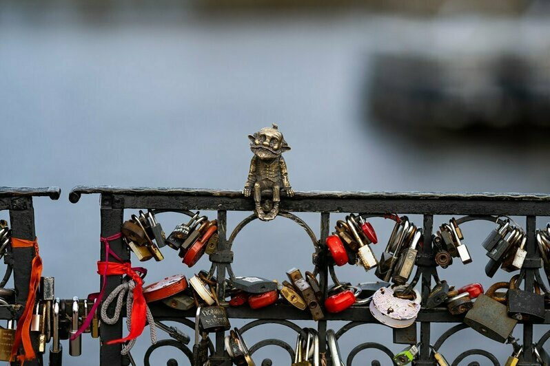 Калининград примеряет осень: жёлтые кроны, ветер и цапля над водой (фоторепортаж) - Новости Калининграда | Фото: Александр Подгорчук / «Клопс»