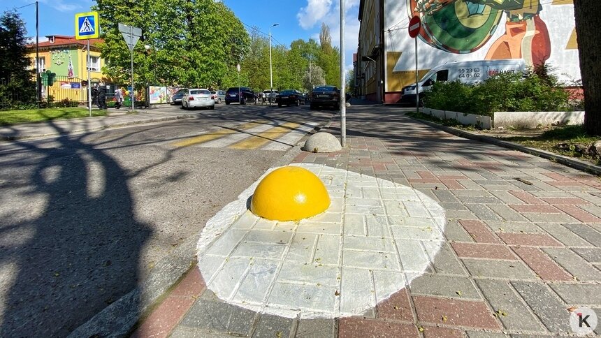 В Калининградской области растёт заболеваемость сальмонеллёзом   - Новости Калининграда | Фото: Александр Подгорчук / Архив «Клопс»