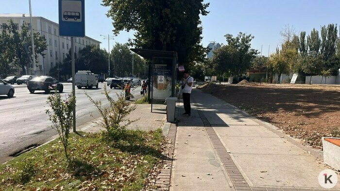 Удобные автобусы, живые дворы и набережные вдоль каналов: чему Калининграду стоит поучиться у Ташкента (фоторепортаж) - Новости Калининграда | Фото: «Клопс»