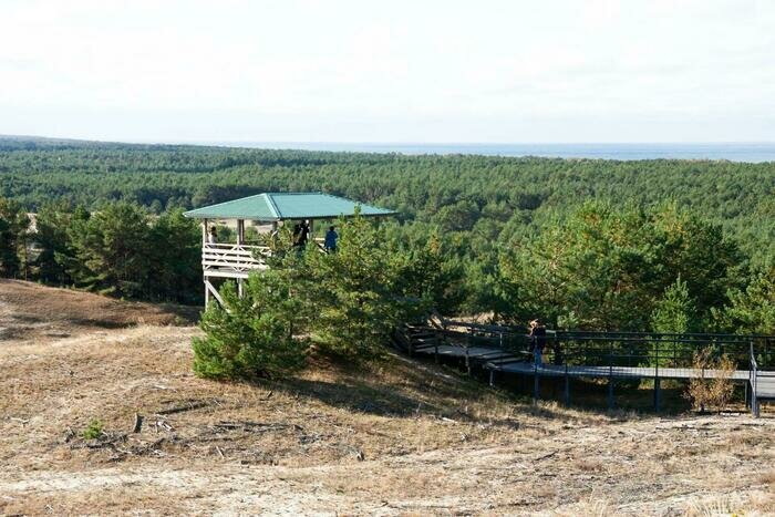 Куршская коса вместо медитации: море, дюны и немного тишины