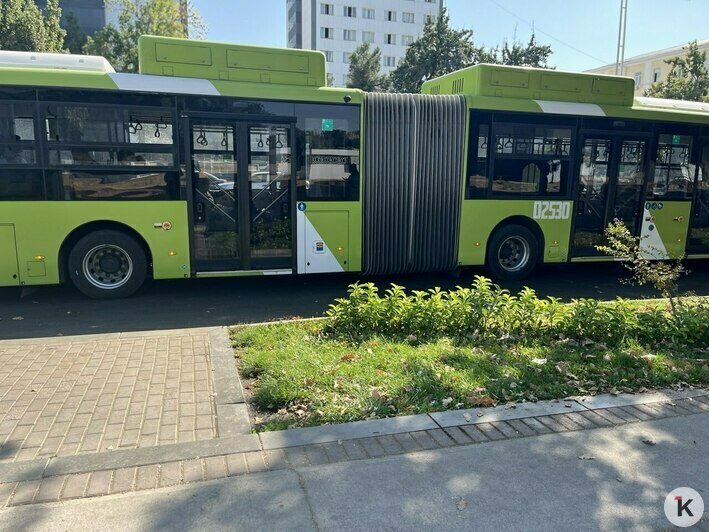 Удобные автобусы, живые дворы и набережные вдоль каналов: чему Калининграду стоит поучиться у Ташкента (фоторепортаж) - Новости Калининграда | Фото: «Клопс»