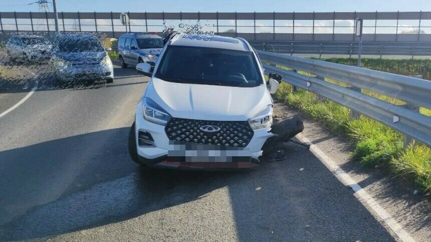 У машины оторвало колесо: в аварии на окружной Калининграда пострадал годовалый ребёнок - Новости Калининграда | Фото: Госавтоинспекция Калининградской области