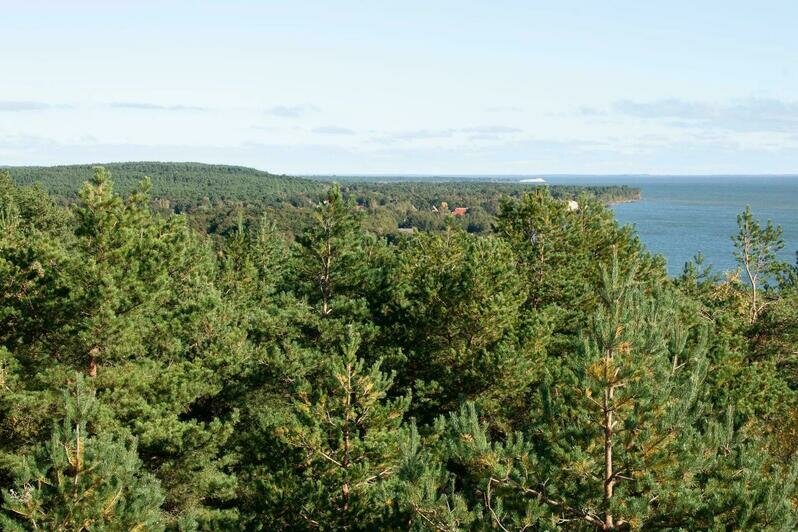 Куршская коса вместо медитации: море, дюны и немного тишины