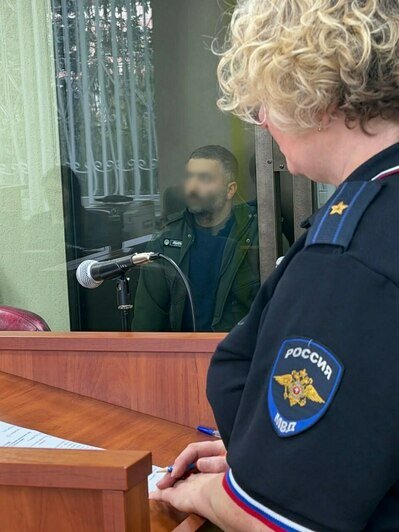 Под Черняховском мужчина на тракторе пошёл крестовым походом на дубы, ясени и ольхи: ущерб оценили почти в 3 млн - Новости Калининграда | Фото: канал пресс-службы Калининградского областного суда / Макс