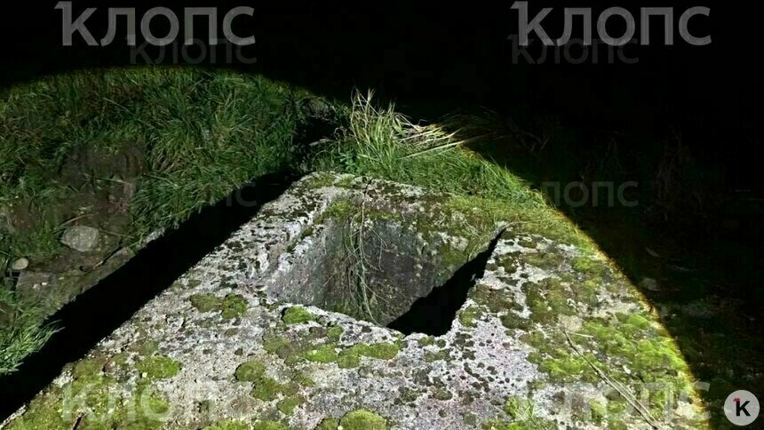 Колодец с водой, в котором нашли тело мальчика  | Фото: очевидец