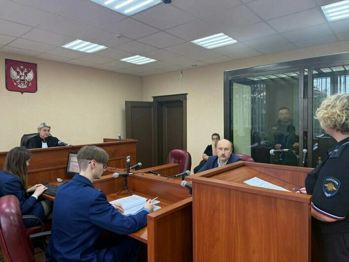 Под Черняховском мужчина на тракторе пошёл крестовым походом на дубы, ясени и ольхи: ущерб оценили почти в 3 млн - Новости Калининграда | Фото: канал пресс-службы Калининградского областного суда / Макс