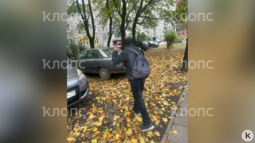 Просунул руку между ног: на Московском проспекте калининградку напугал щуплый мужчина в чёрной кепочке (видео)   - Новости Калининграда | Фото: Дина