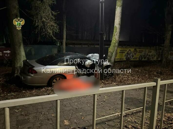 В Светлогорске будут судить мужчину, который без прав сел за руль, врезался в дерево и погубил возлюбленную - Новости Калининграда | Фото: канал прокуратуры Калининградской области / Макс