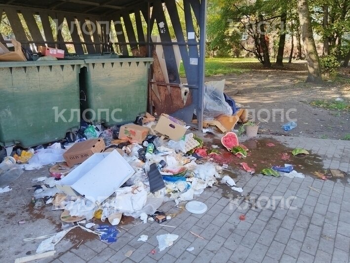 Арбузная лужа, мебельный склад и стеклянная ловушка: каким улицам Калининграда давно требуется уборка (фото)   - Новости Калининграда | Фото: Денис Горшков