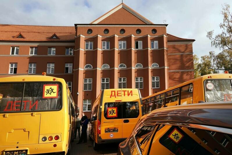 Калининградская область закрыла потребность в водителях школьных автобусов — губернатор - Новости Калининграда | Фото: канал губернатора Калининградской области Алексея Беспрозванных / Телеграм