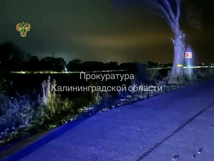 Место происшествия  | Фото: СУ СК России по Калининградской области, прокуратура по Калининградской области 