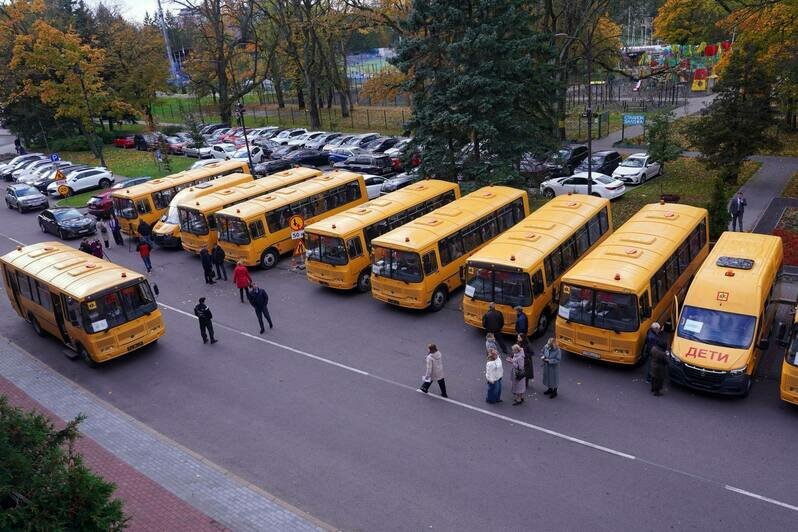 Калининградская область закрыла потребность в водителях школьных автобусов — губернатор - Новости Калининграда | Фото: канал губернатора Калининградской области Алексея Беспрозванных / Телеграм