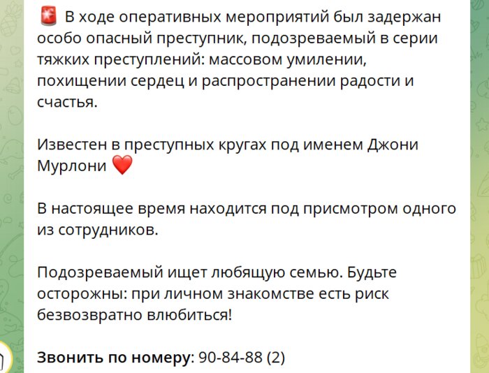 Арестован за преступно милый вид: калининградские полицейские спасли котёнка, прятавшегося на их парковке (видео)  - Новости Калининграда | Скриншот поста из телеграм-канала приюта «Славянское»