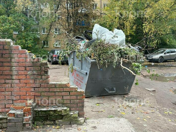 Арбузная лужа, мебельный склад и стеклянная ловушка: каким улицам Калининграда давно требуется уборка (фото)   - Новости Калининграда | Фото: «Клопс»