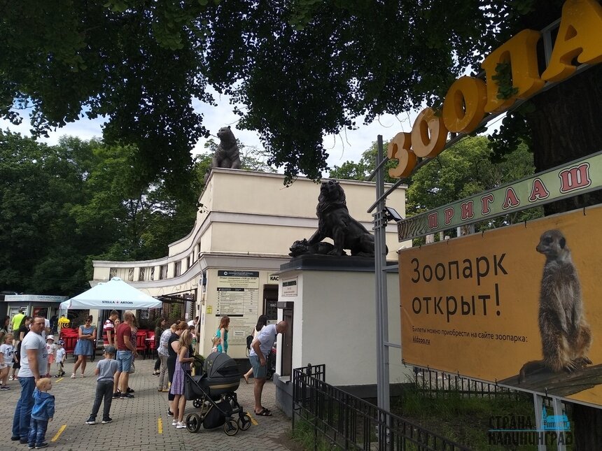 В этом году зоопарк отметил 130-летие | Фото: архив "СК"
