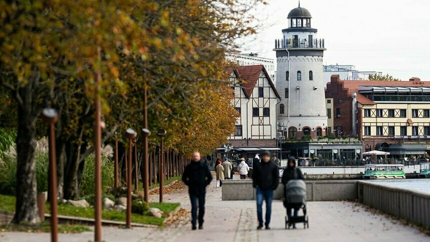 Только солнце и порывы южного ветра: какой будет погода в Калининграде и области 28 октября - Новости Калининграда | Фото: Александр Подгорчук / Архив «Клопс»