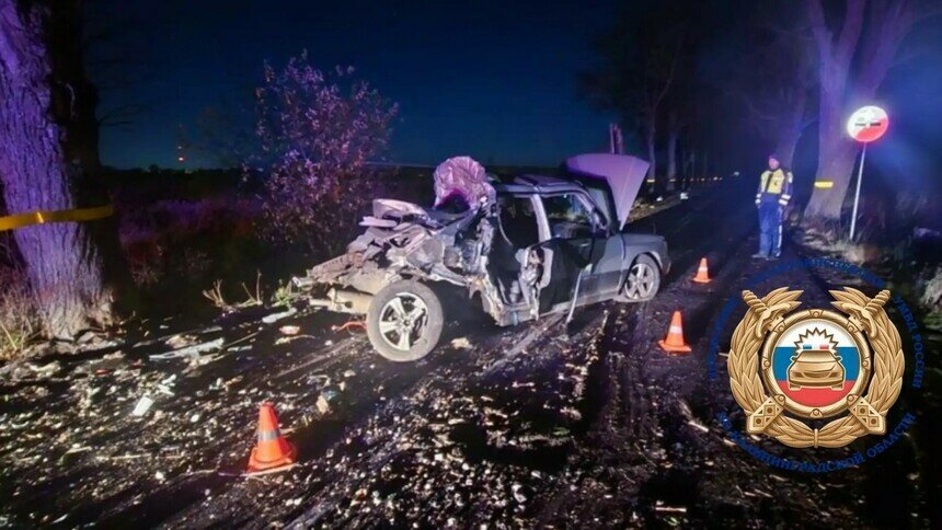 Subaru вывернуло наизнанку: в Зеленоградском районе водитель выехал на встречку и врезался в дерево - Новости Калининграда | Фото: Госавтоинспекция Калининградской области