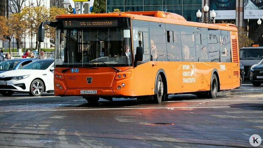 Не туда повезли: калининградка узнала о смене автобусного маршрута уже в дороге - Новости Калининграда | Фото: Александр Подгорчук / Архив «Клопс»