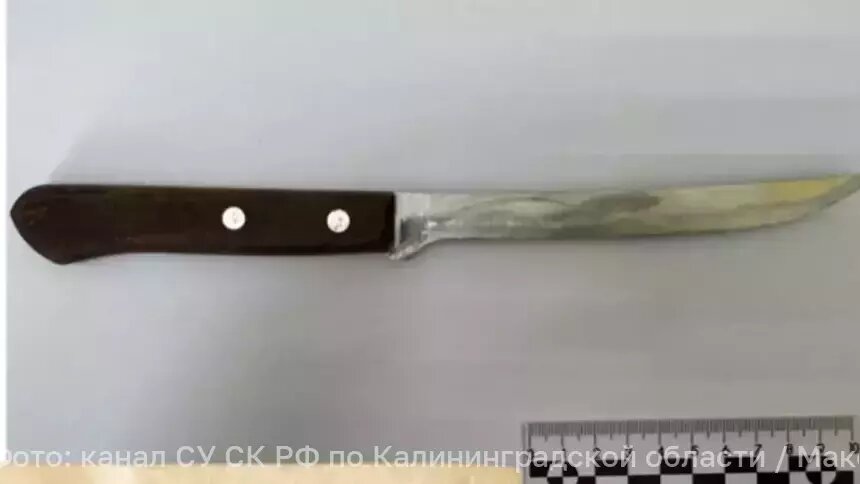 В Калининграде женщина вызвала полицию из-за «незнакомца за окном», а после приезда стала угрожать сотрудникам ножом - Новости Калининграда | Фото: канал СУ СК РФ по Калининградской области / Макс
