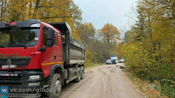 Гибель женщины и 20 её кошек, нудист в центре Калининграда и огромная пробка: 8 событий, которые обсуждали в выходные   - Новости Калининграда | Фото: ГАИ Калининградской области