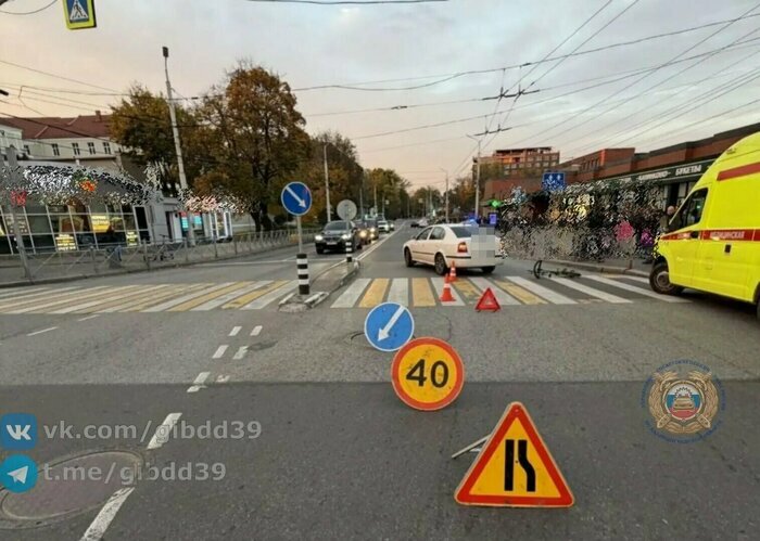 Гибель женщины и 20 её кошек, нудист в центре Калининграда и огромная пробка: 8 событий, которые обсуждали в выходные   - Новости Калининграда | Фото: ГАИ Калининградской области