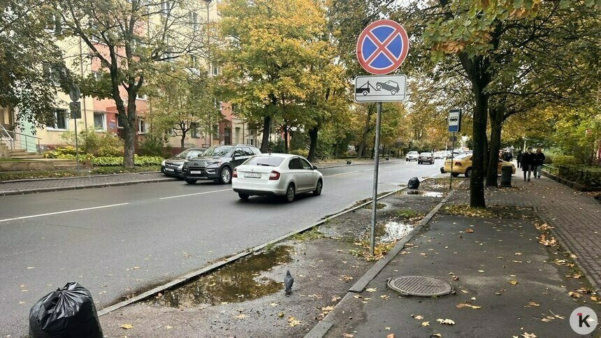 В мэрии рассказали, почему в Калининграде убирают парковки вдоль улиц - Новости Калининграда | Фото: «Клопс»
