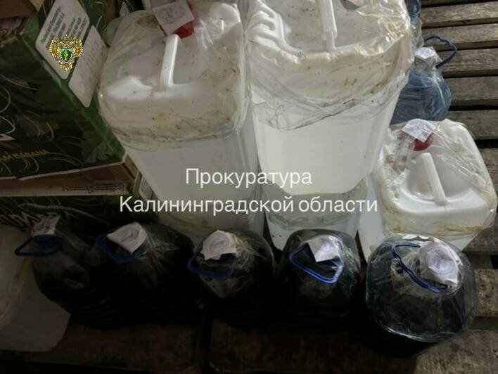 В Озёрском районе мужчина спустил миллионы на запас нелегальных сигарет и алкоголя - Новости Калининграда | Фото: канал прокуратуры Калининградской области / Телеграм
