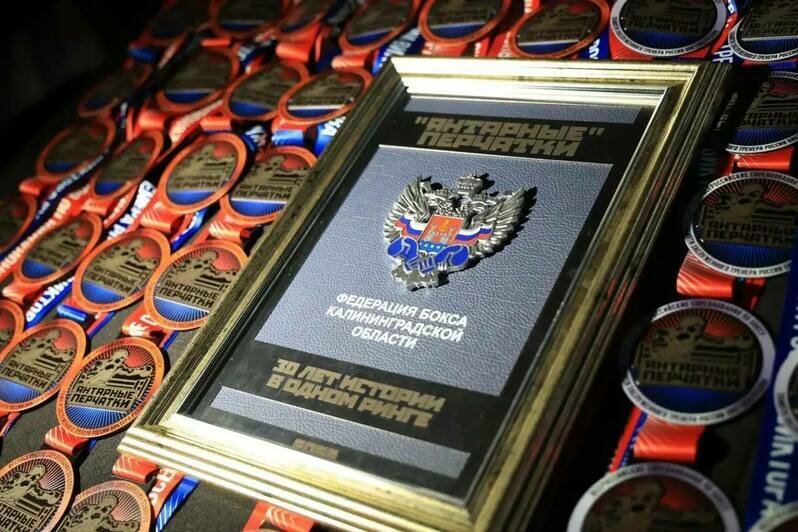 В Калининградской области больше 4,6 тысячи человек занимаются боксом — Дятлова - Новости Калининграда | Фото: канал сити-менеджера Калининграда Елены Дятловой / Телеграм