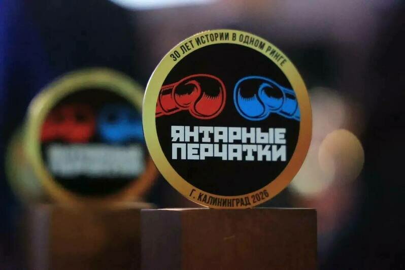 В Калининградской области больше 4,6 тысячи человек занимаются боксом — Дятлова - Новости Калининграда | Фото: канал сити-менеджера Калининграда Елены Дятловой / Телеграм