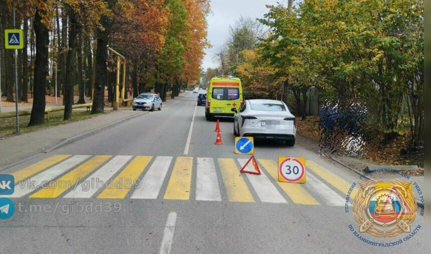 В Гурьевске «Амберавто» сбил пенсионерку на пешеходном переходе - Новости Калининграда | Фото: сообщество Госавтоинспекции Калининградской области / «ВКонтакте»