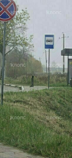 «Выглядит жутковато»: под Калининградом соорудили памятник пассажиру, растерявшему себя в ожидании автобуса (фото) - Новости Калининграда | Фото: «Клопс»