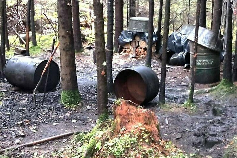 Из тазиков и палок: под Вильнюсом обнаружили самогонный лес - Новости Калининграда | Фото: Государственая пограничная служба Литвы