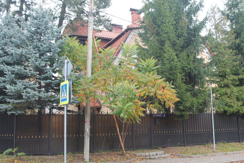Сказочные виллы сквозь осеннюю листву: какими деталями удивляет район Верхнего озера в Калининграде, часть 1 - Новости Калининграда | Фото: Алёна Михайлова