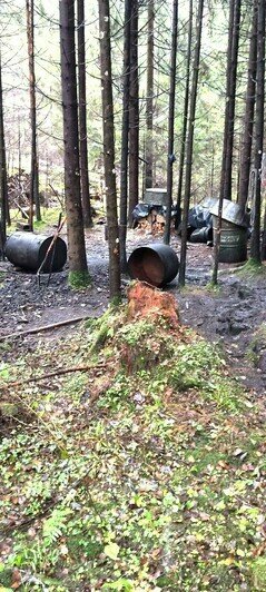 Из тазиков и палок: под Вильнюсом обнаружили самогонный лес - Новости Калининграда | Фото: Государственая пограничная служба Литвы