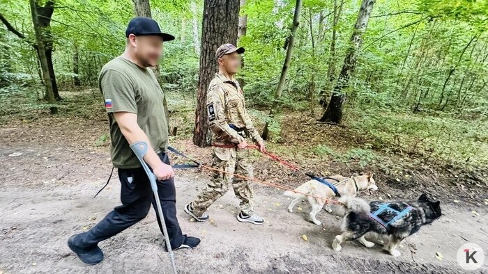 Ита умеет ждать: 30 калининградских собак-терапевтов помогают людям, но сами до сих пор без света и вольеров (фото) - Новости Калининграда | Фото: Елена Сальникова