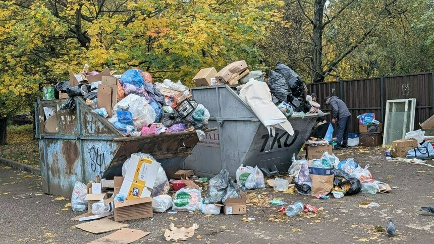 Кошмар «Спартака» и загадочное подземелье в центре Калининграда: обзор блогов на «Клопс» - Новости Калининграда | Фото: «Клопс»
