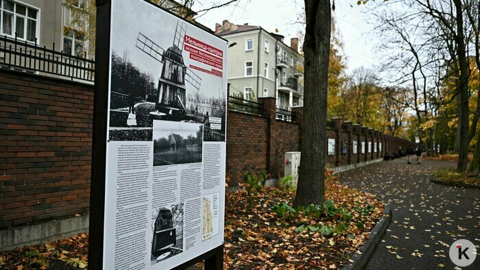 «Очень похоже на парк Кисловодска»: как выглядит новый сквер в районе Брамса (фоторепортаж)   - Новости Калининграда | Фото: Александр Подгорчук / «Клопс»